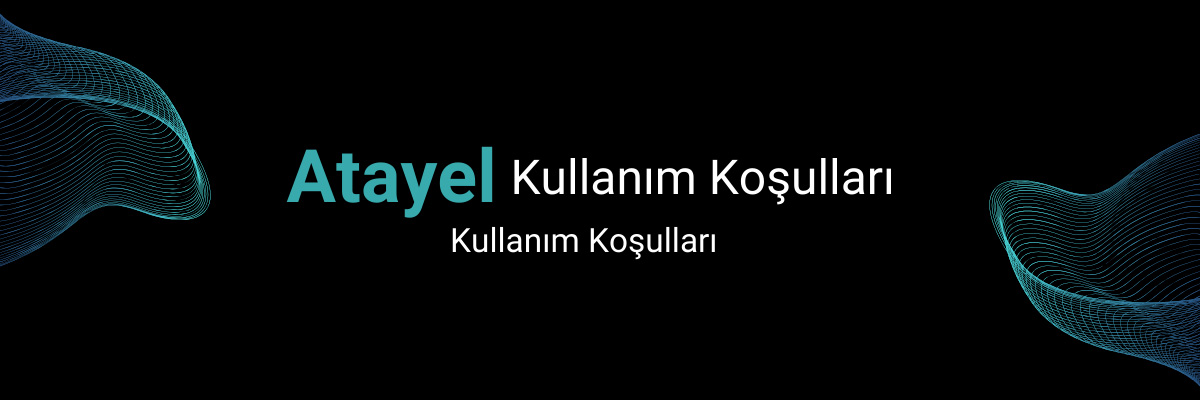 Kullanım Koşulları